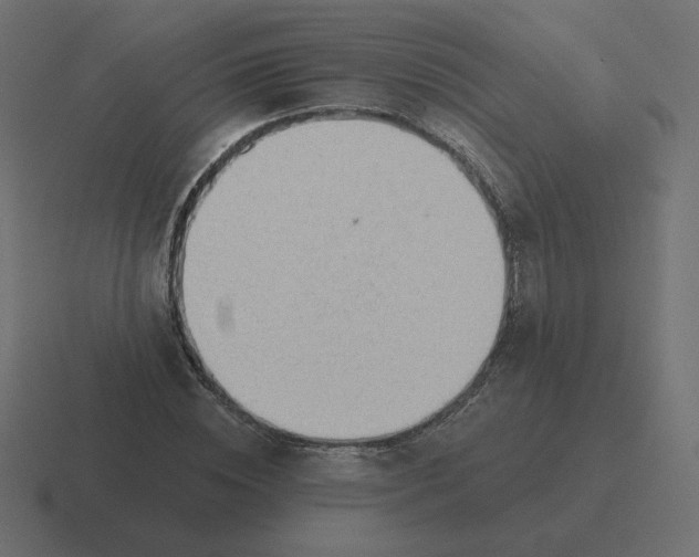 X0000116510828200912292142