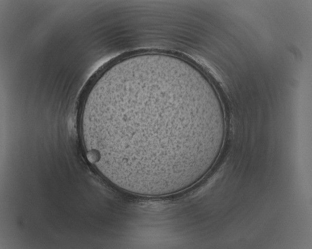 X0000116510830200912292142