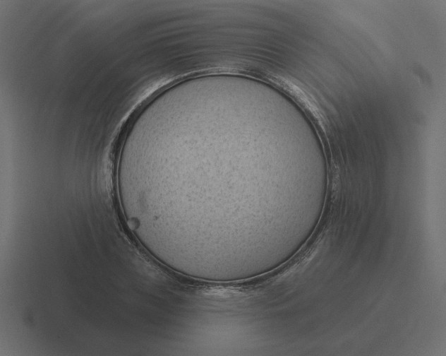 X0000116510835200912292142