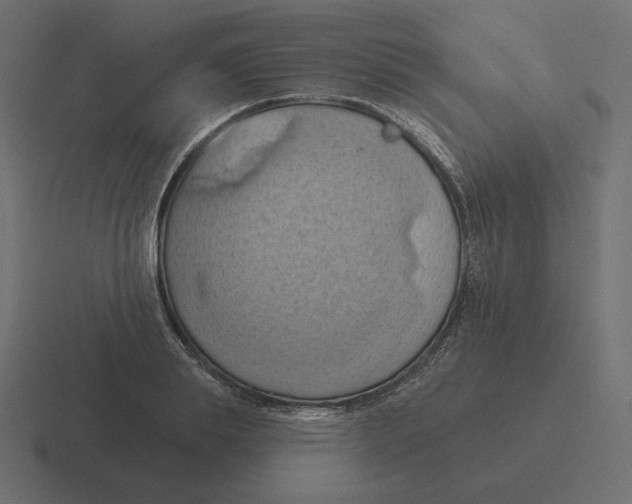 X0000116510839200912292143