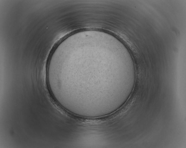 X0000116510840200912292143