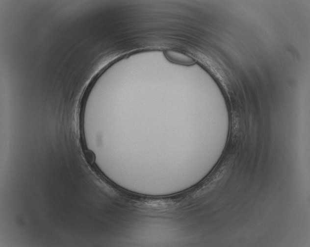 X0000116510843200912292143