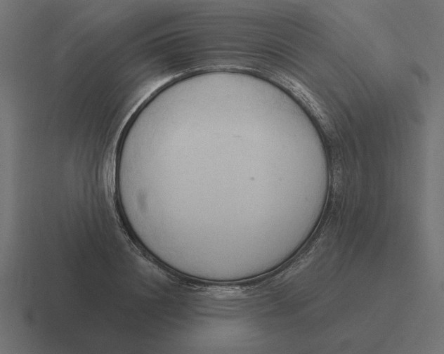 X0000116510844200912292143