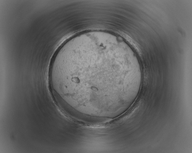 X0000116510845200912292143