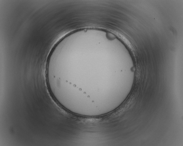 X0000116510847200912292143