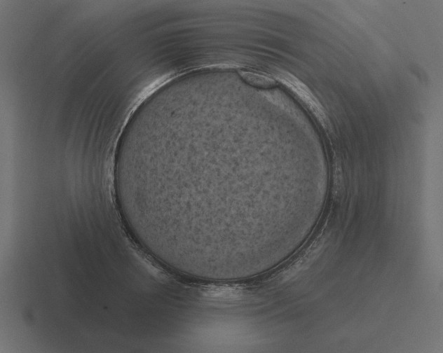 X0000116510850200912292143