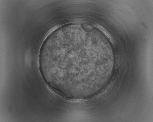 X0000116510853200912292143