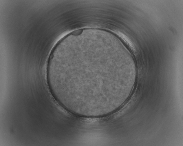 X0000116510854200912292143