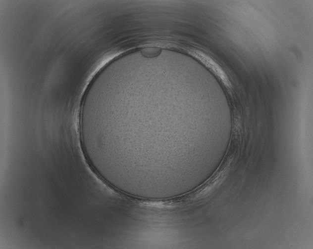 X0000116510855200912292143