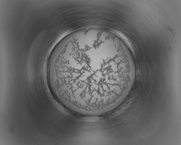 X0000116510859200912292143