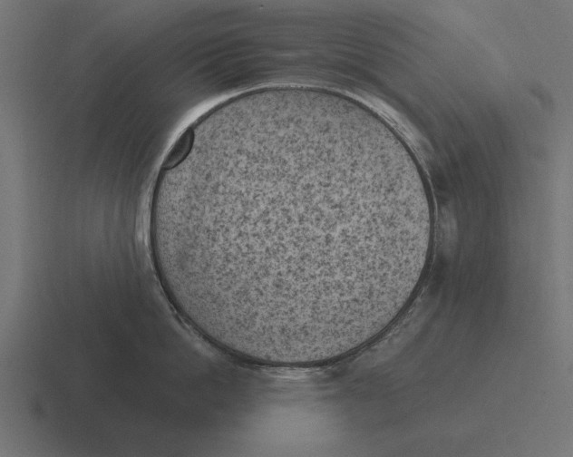 X0000116510862200912292143