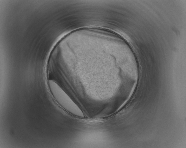 X0000116510864200912292143