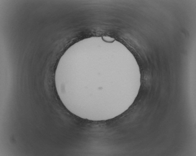 X0000116510865200912292142