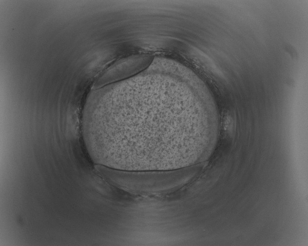 X0000116510868200912292142