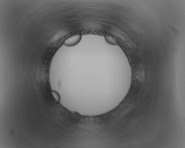 X0000116510869200912292142