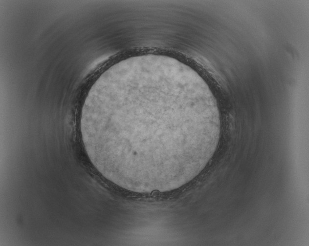 X0000116510872200912292142