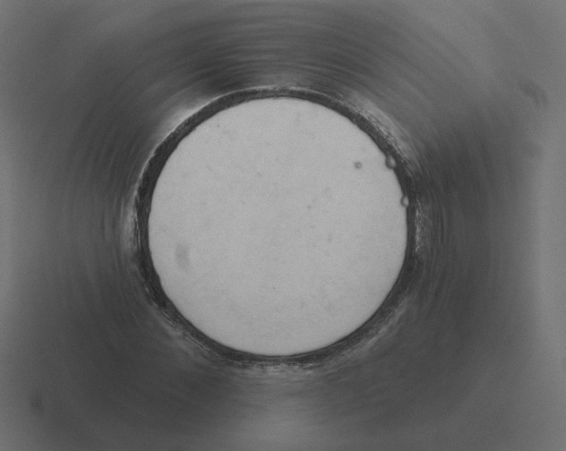 X0000116510876200912292142