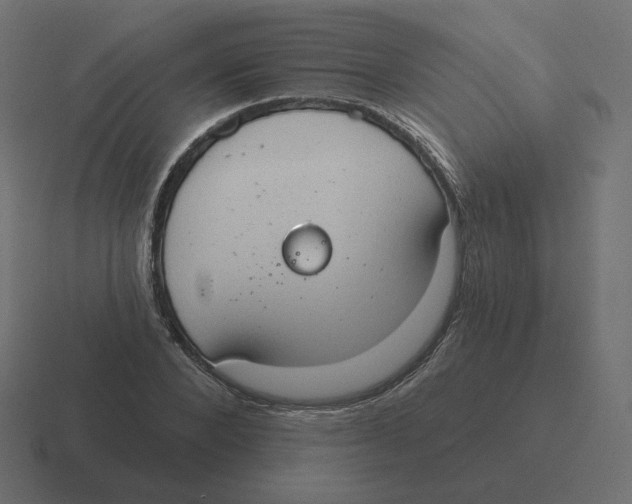 X0000116510880200912292142