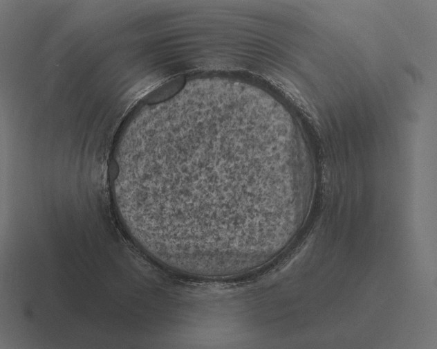 X0000116510881200912292142