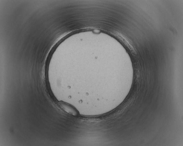 X0000116510884200912292142