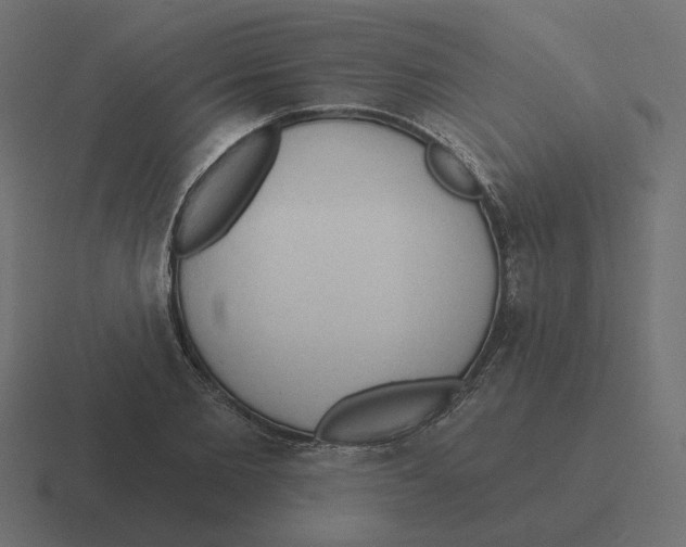 X0000116510885200912292142