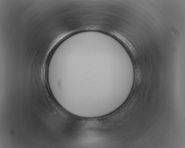 X0000116510886200912292142