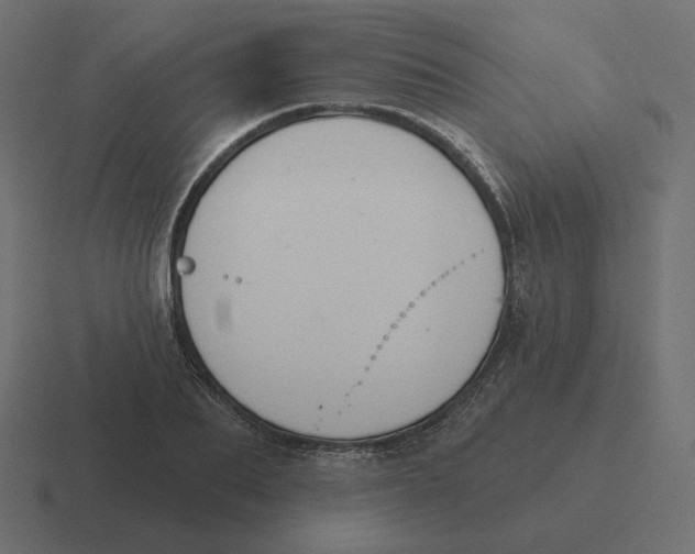 X0000116510887200912292142