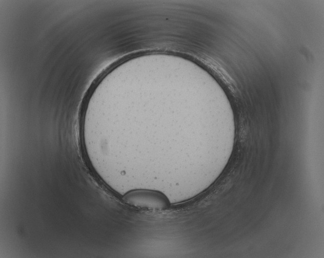 X0000116510888200912292142