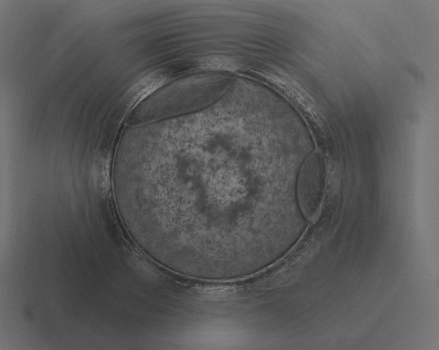 X0000116510889200912292142