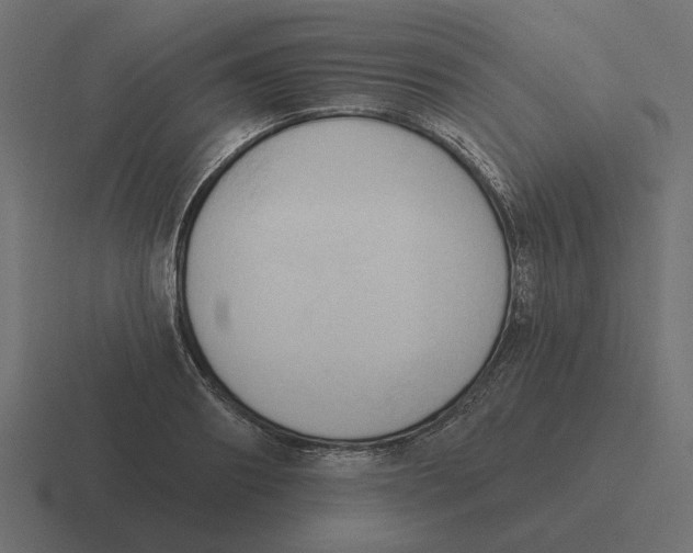 X0000116510890200912292142