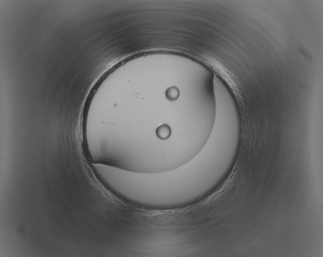 X0000116510892200912292142