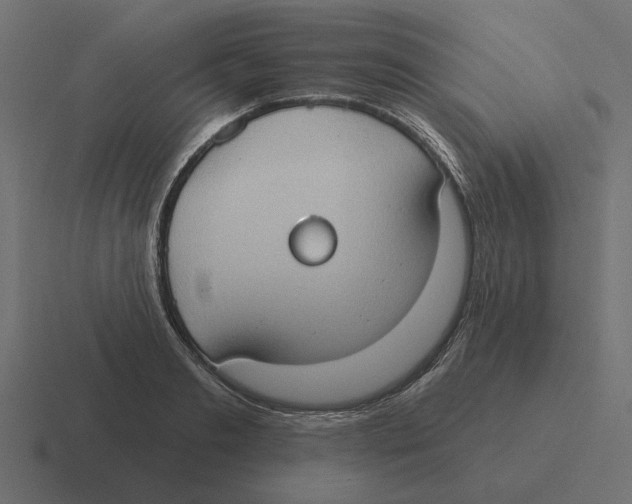 X0000116510893200912292142