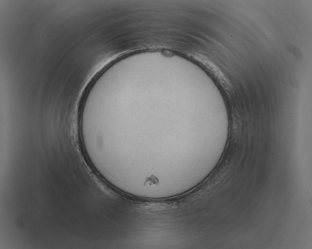 X0000116510894200912292142