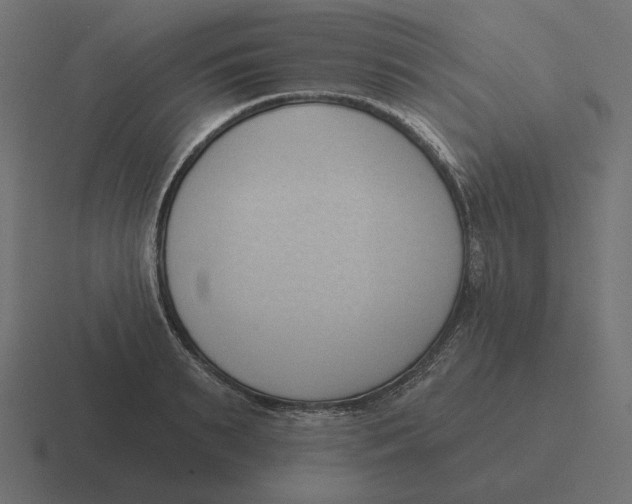 X0000116510895200912292142