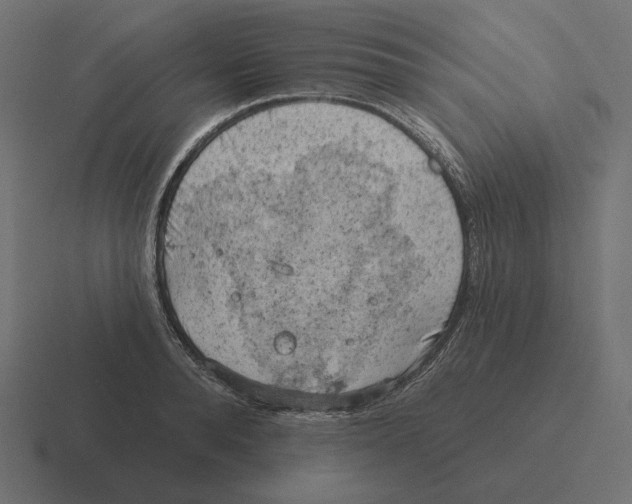 X0000116510896200912292142