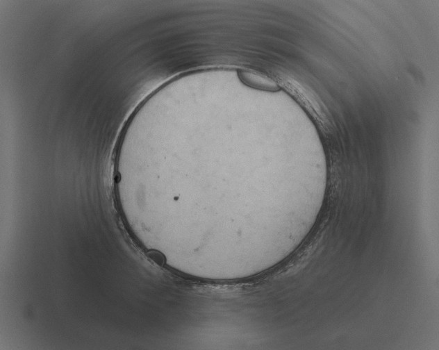 X0000116510900200912292142