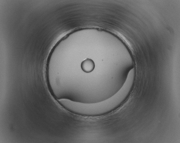 X0000116510901200912292142