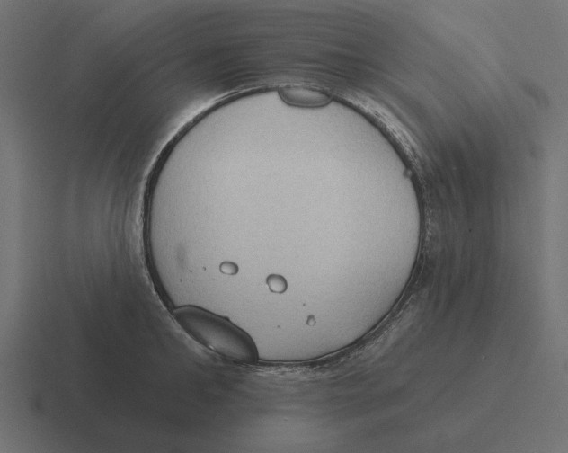 X0000116510902200912292142