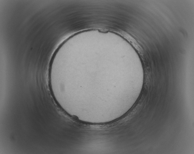 X0000116510904200912292142