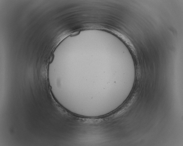 X0000116510905200912292142