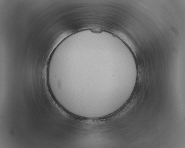 X0000116510906200912292142