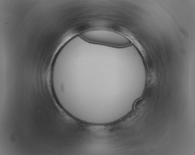 X0000116510909200912292142