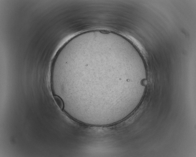 X0000116510910200912292142