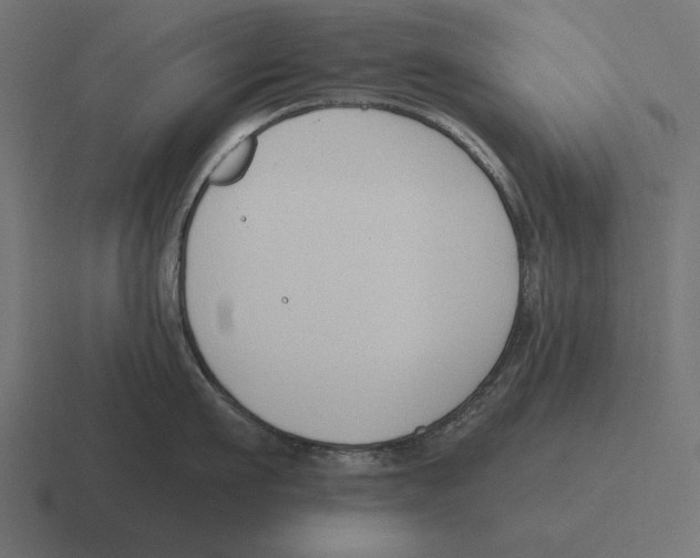 X0000116510911200912292142