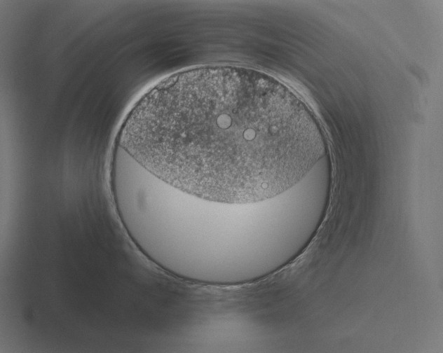 X0000116510912200912292142