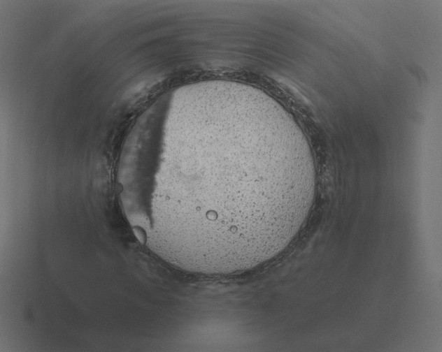 X0000116510917200912292141