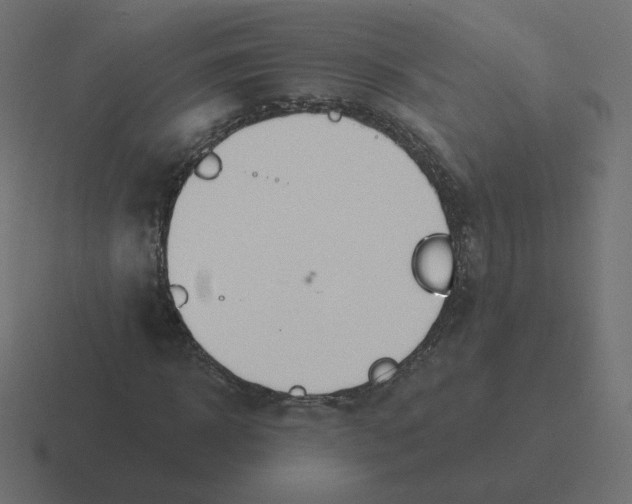 X0000116510918200912292141