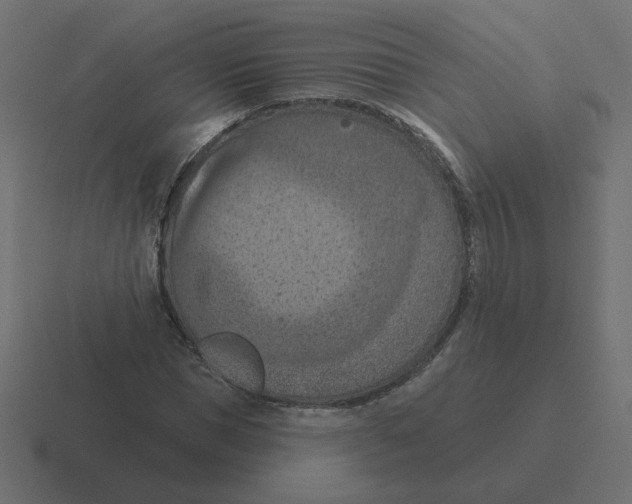 X0000116510921200912292141