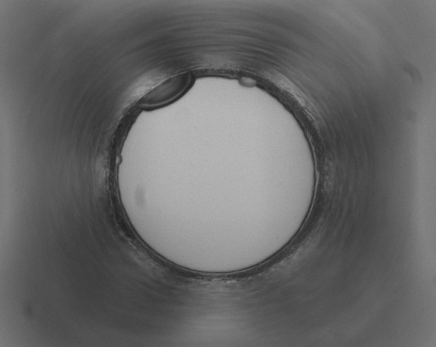 X0000116510922200912292141