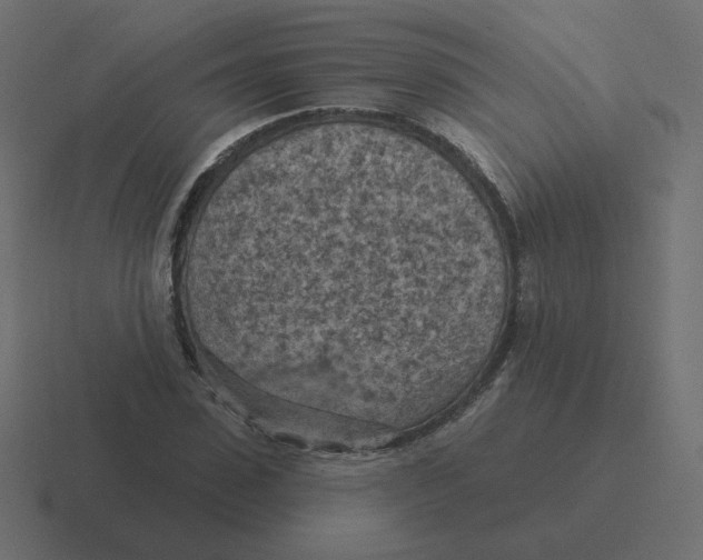 X0000116510923200912292141